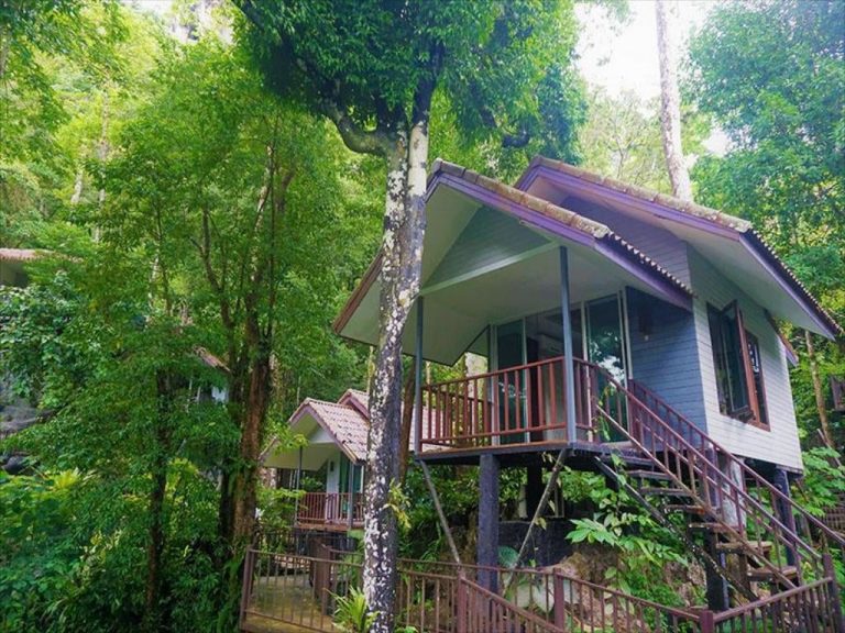 Pai-Treehouse-Resort