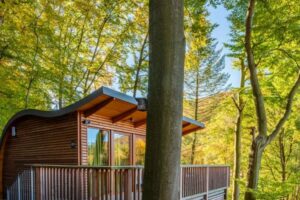 Baumhaushotels im Harz für traumhafte Urlaubstage